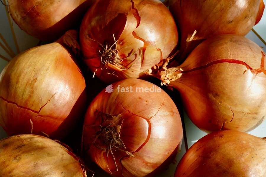 Daily life, The UK onion harvest for 2026 was severely affected by drought and extreme heat