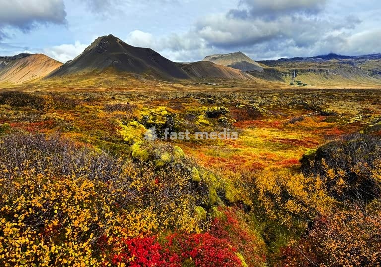 Farbintensive Herbstfaerbung durch niedere Vegetation im Lavafeld Búdahraun mit dem Schlakenkrater Búdaklettur im Hintergrund, Snaefellsnes, Island