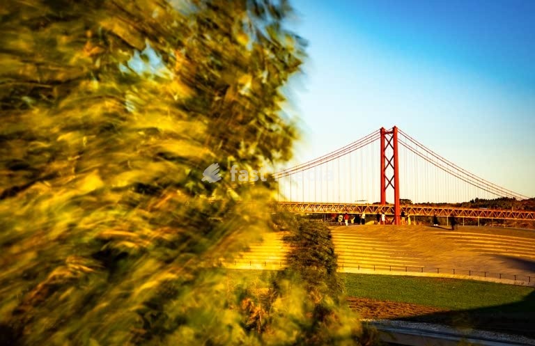 The 25 de Abril Bridge over the Tagus River in Lisbon at sunset witj a tree in motion on a windy day