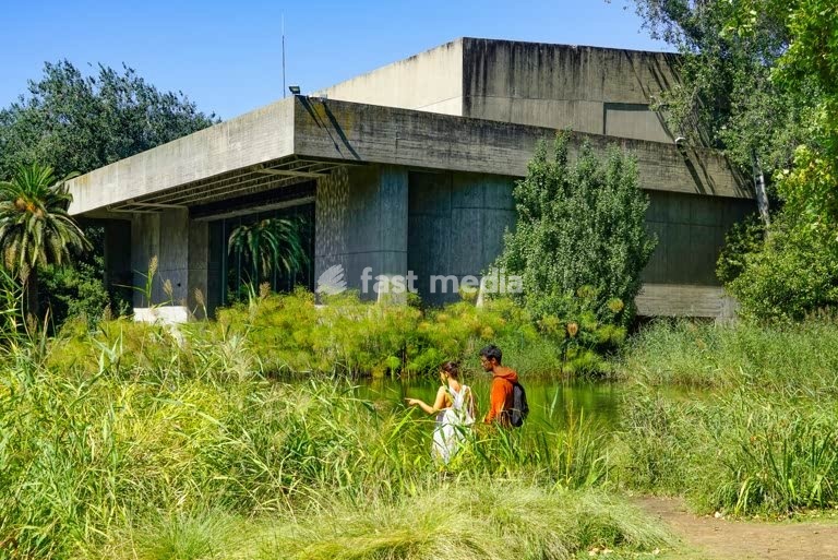 Lisbon, Portugal – concrete brutalist Gulbenkian Museum surrounded by the lush greenery of its park. Photo Peter Delius