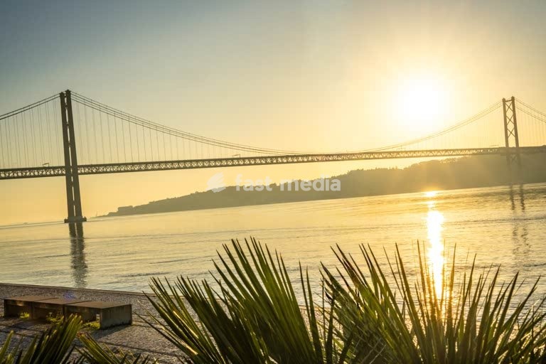 Sunrise over Ponte 25 de Abril and the Tagus, palm fronds framing the view, Belém, Lisbon