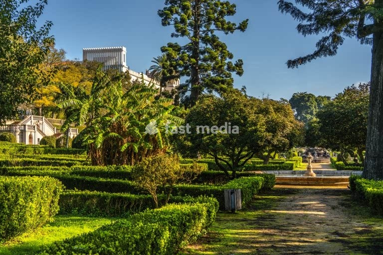 Formal garden with clipped hedges and palm trees, Jardim Botânico da Ajuda, Lisbon
