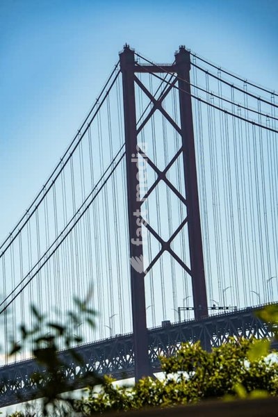 25 de Abril Bridge tower against clear sky, seen through foliage, Lisbon, Portugal