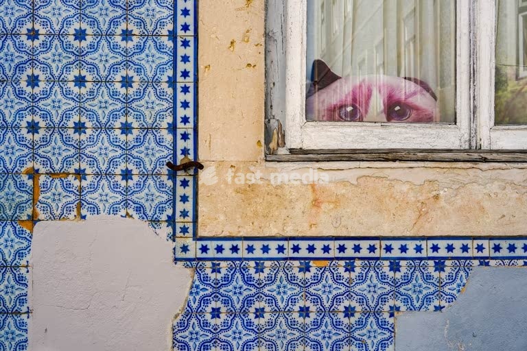 Azulejo tile facade with cat mural peering through weathered window, Bairro Alto, Lisbon