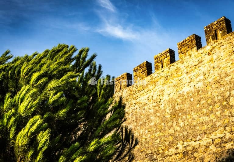 Moorish castle battlements and pine tree against blue sky, historic fortress, Portugal