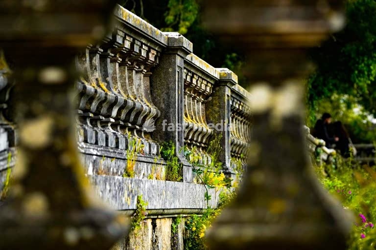 Secret Lisbon: Weathered balustrade, moss, wildflower in Jardim Botânico da Ajuda, Belém, Lisbon