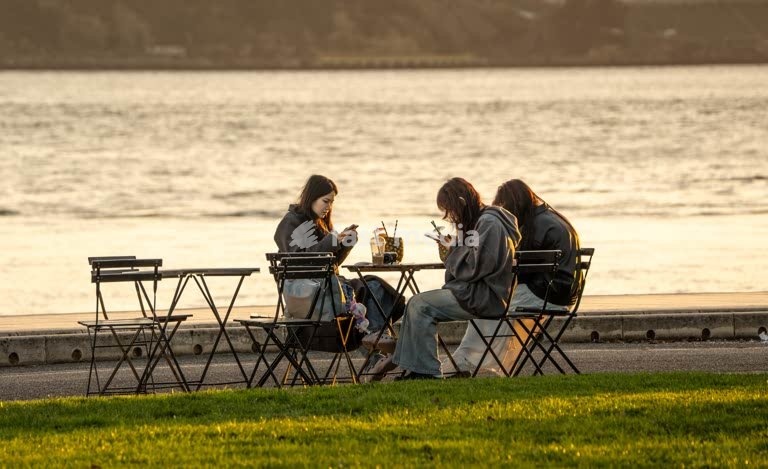 Three young women absorbed in smartphones at riverside café, Tagus waterfront, Belém, Lisbon, Portugal
