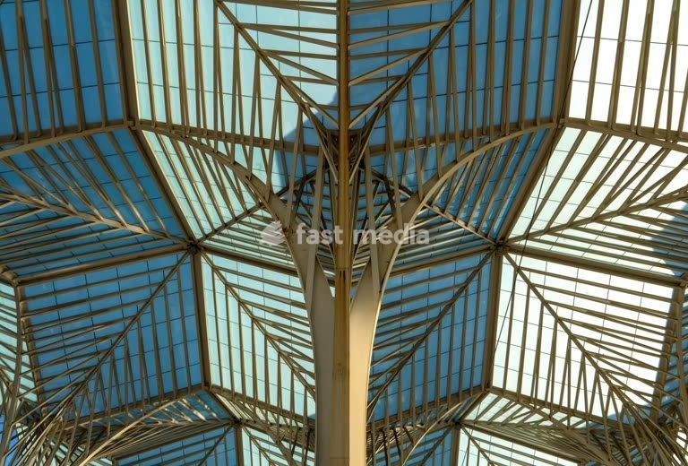 Calatrava steel tree canopy, glass roof, Gare do Oriente station, Parque das Nações, Lisbon
