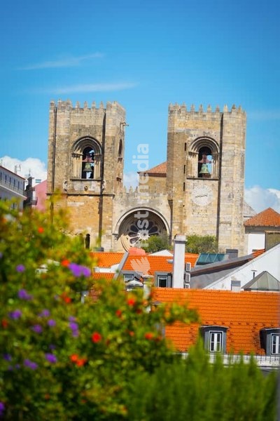 Lisbon Cathedral twin Romanesque towers framed by flowering foreground bokeh, Alfama, Lisbon, Portugal