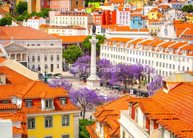 Rossio Square, Lisbon: jacaranda trees in bloom around Dom Pedro IV column, Baixa, Portugal