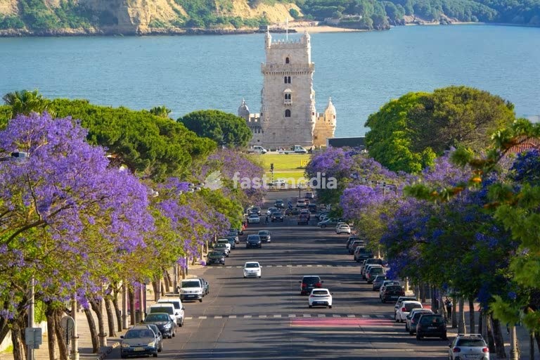 Torre de Belém, Lisbon: jacaranda-lined avenue leads to UNESCO landmark, Belem, Portugal