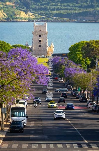 Torre de Belém, Lisbon: jacaranda-lined avenue leads to UNESCO landmark, Belem, Portugal