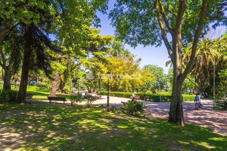 Shaded pathway through lush greenery at Jardim da Estrela, Lisbon, Portugal, sunny day