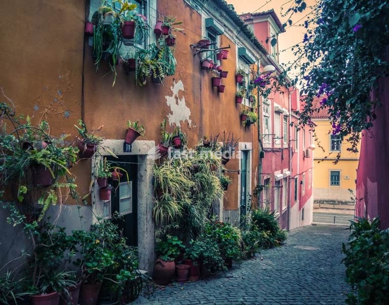 Flower-lined alley with colorful facades in Alcântara, Lisbon, Portugal, evening light