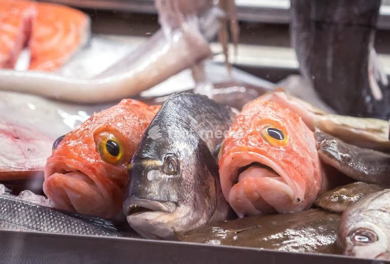 Red fish heads and fresh catch on ice at a Portuguese fish market stall, seafood display