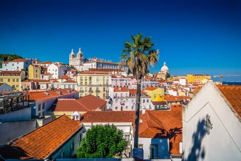 Alfama's colorful houses and terracotta rooftops beneath the National Pantheon dome, Lisbon, Portugal