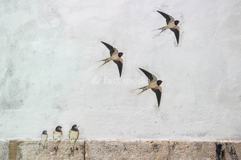 Lisbon. Street Art. Swallows on a building in Alfama