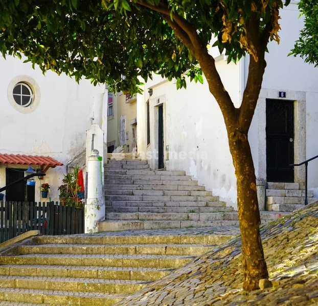 Lisbon. Stairway in Alfama