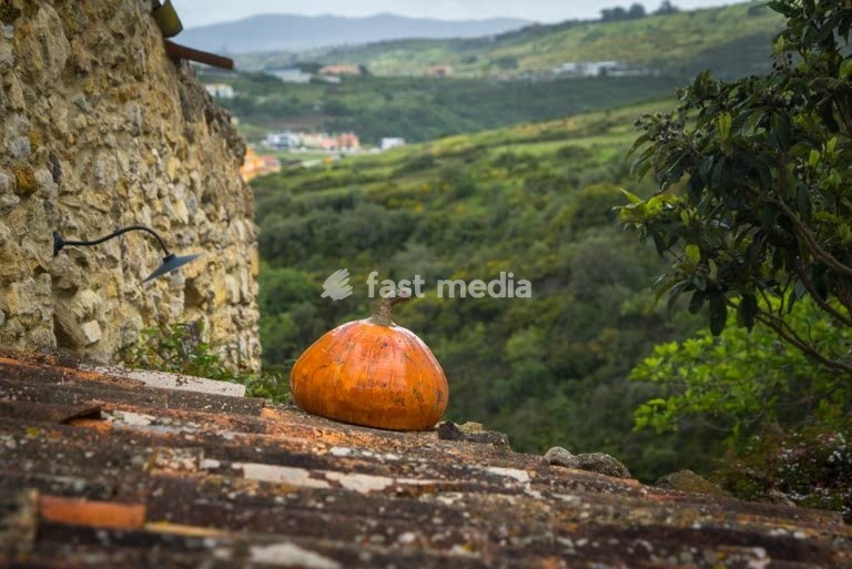 Aldeia da Mata Pequena, Village, Portugal