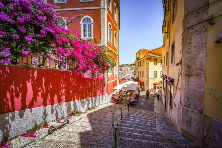 Lisbon, Portugal, street in the old part of town. Calcada do Duque with the castle on the opposite hill. Typical Bougainvillea bushes