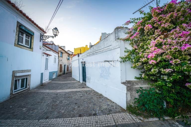 Charming narrow cobblestone street with whitewashed houses and blooming bougainvillea in traditional Lisbon neighborhood Bairro Alto. Portugal