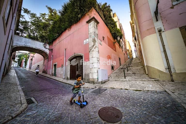 Lisbon, Portugal. Bairro Alto street scene, Rua Nova do Loureiro with terrace gardens. Photo Peter Delius