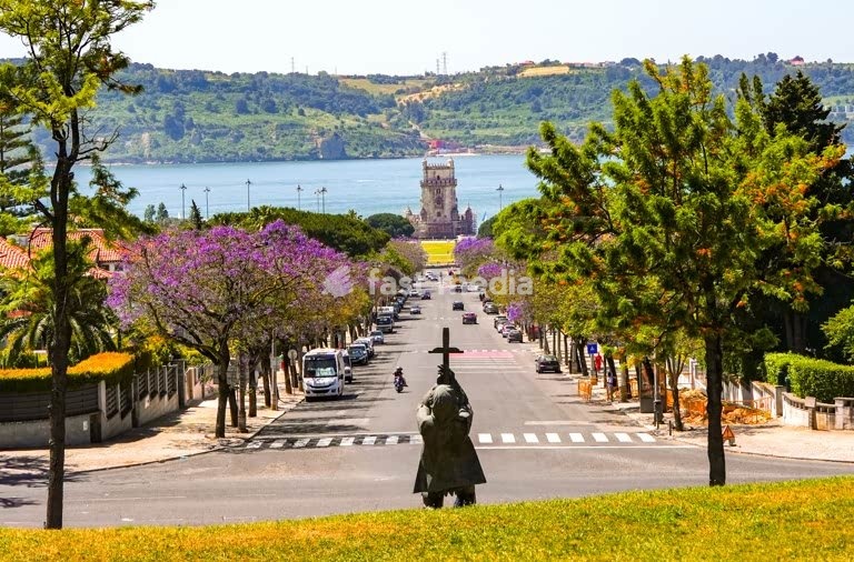 Belém Tower (Torre de Belém) framed by blooming purple jacaranda trees in spring, Lisbon, Portugal. UNESCO World Heritage Site landmark