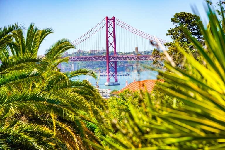 Lisbon's Parque das Necessidades, showing the 25 de Abril Bridge framed by lush exotic palm trees.