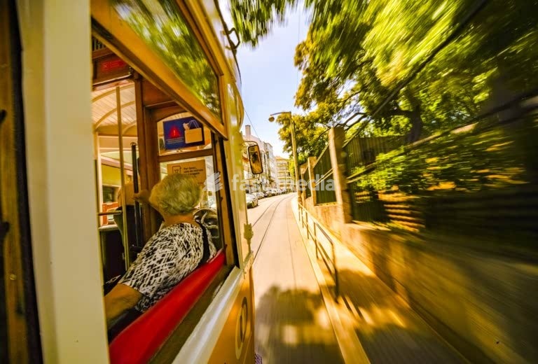 Passenger enjoys scenic ride on iconic yellow vintage tram 18E through tree-lined streets of Lisbon, Portugal, with motion blur effect