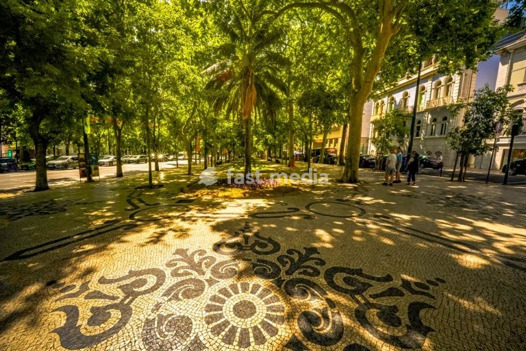 Ornate Portuguese mosaic pavement patterns under dappled tree shade on famous Avenida da Liberdade boulevard in central Lisbon, Portugal