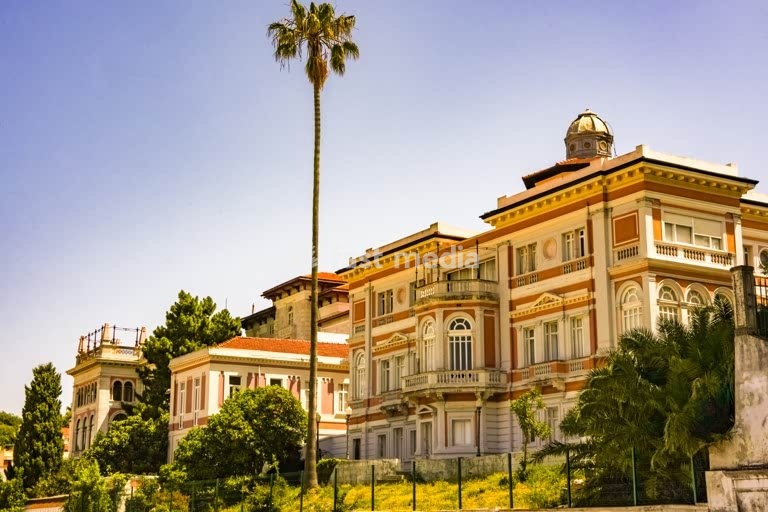 Elegant historic mansions with ornate balconies and dome under palm tree against purple twilight sky in upscale Lisbon neighborhood