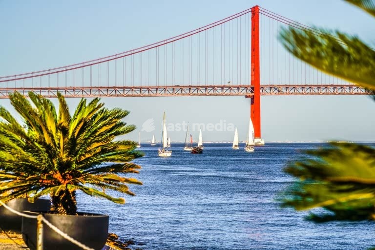 Sailboats navigate the Tagus River beneath the iconic red 25 de Abril suspension bridge with palm trees framing Lisbon, Portugal. Photo Peter Delius