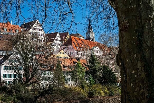 Historic old town of Tübingen in southern Germany from the Neckar Island