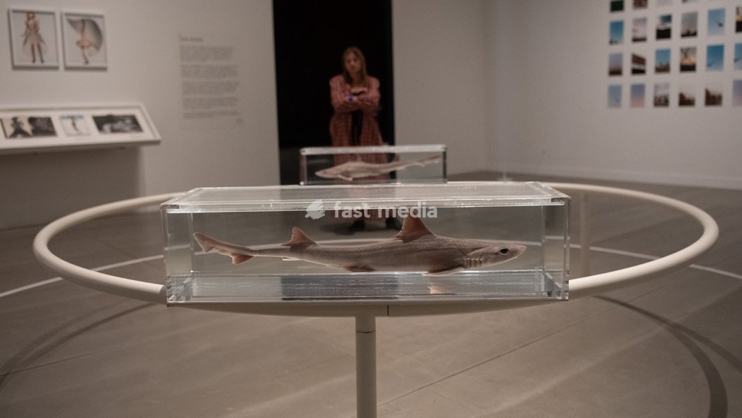 Visitors view 'Two Similar Swimming Forms in Infinite Flight' by Damien Hirst at a Photocall for 'The 90s: Art And Fashion' which runs from 8th October 2026 - 14th February 2027 at TATE Britain in London, England, UK on Tuesday 6 October, 2026