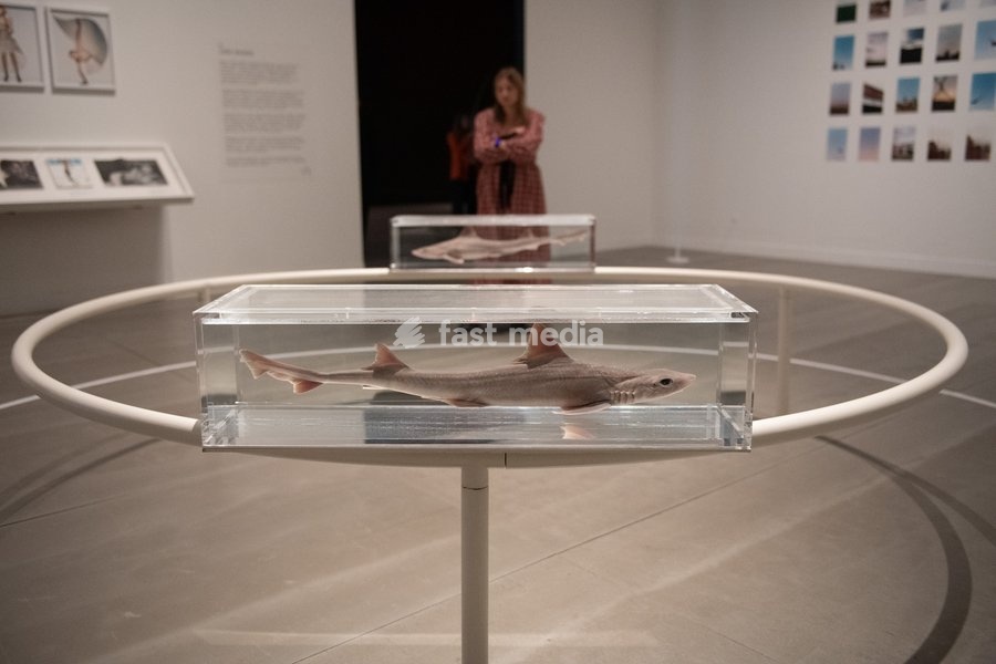 Visitors view 'Two Similar Swimming Forms in Infinite Flight' by Damien Hirst at a Photocall for 'The 90s: Art And Fashion' which runs from 8th October 2026 - 14th February 2027 at TATE Britain in London, England, UK on Tuesday 6 October, 2026