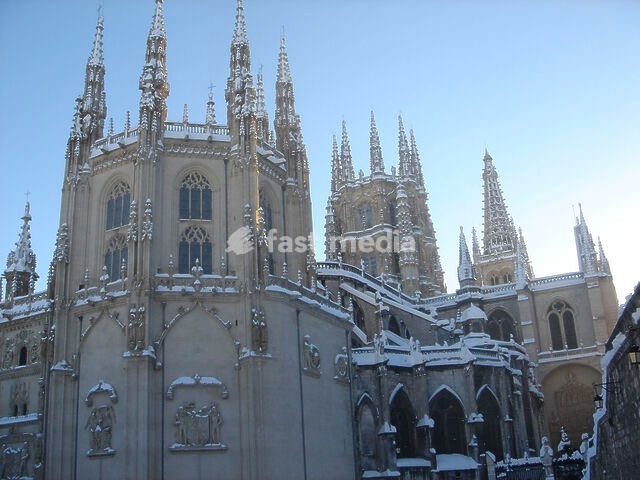 Image 1141112935