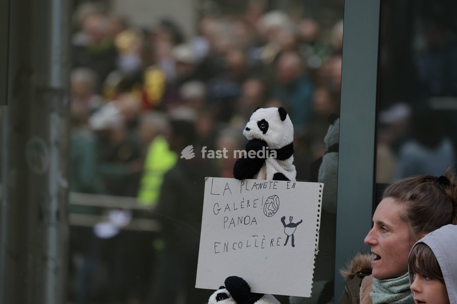 This image shows the Climate March 2026, organized by the Climate Coalition, in Brussels, on Sunday 11 October 2026. The Climate Coalition demands the federal and regional governments to stop subsidizing polluting industrial activities in Belgium and levy higher taxes on these companies