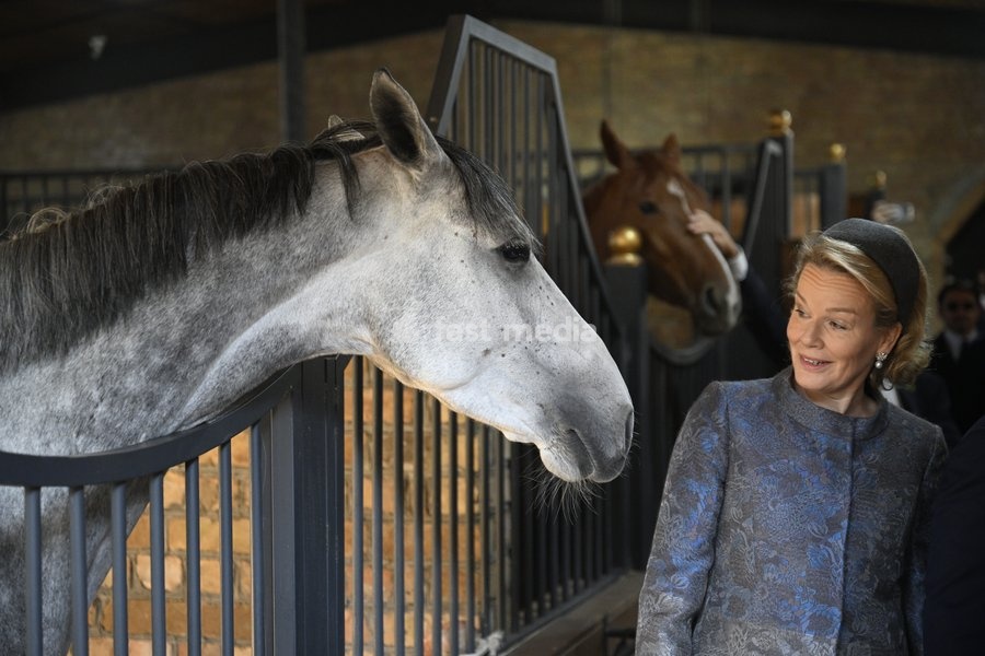 Queen Mathilde of Belgium pictured in a stable near a horse, part of the official state visit of the Belgian King and Queen to Kazakhstan, on Wednesday 14 October 2026. The first State Visit of Belgium's royal couple in central Asia from 11 to 14 October 2026, aims to highlight bilateral…