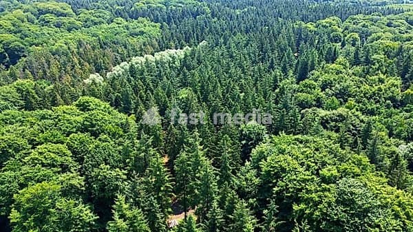 Image 1143487999