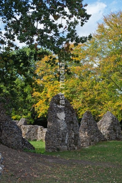 Abbey gardens in the grounds of Bury St Edmund's cathedral. Bury St Edmunds, Suffolk. United Kingdom. 14 October 2026
