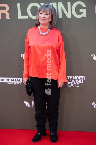 Director Marion Bailey attends the Festival Gala of 'Tender Loving Care' at The 70th BFI London Film Festival at Royal Festival Hall, Southbank, London, England, UK on Thursday 15 October, 2026