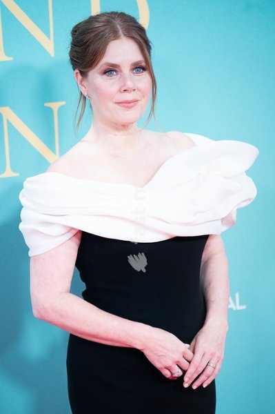 Amy Adams attends the Festival Gala of 'Klara And The Sun' at The 70th BFI London Film Festival at Royal Festival Hall, Southbank, London, England, UK on Thursday 15 October, 2026
