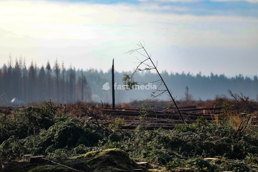 This image shows a field visit organized for the kick-off of the Hautes-Fagnes (High Fens) restoration works, on Friday 16 October 2026 in Spa. The fire started on August 14th and 3366 hectares (on a total of 4500) were impacted, a perimeter of 27 km