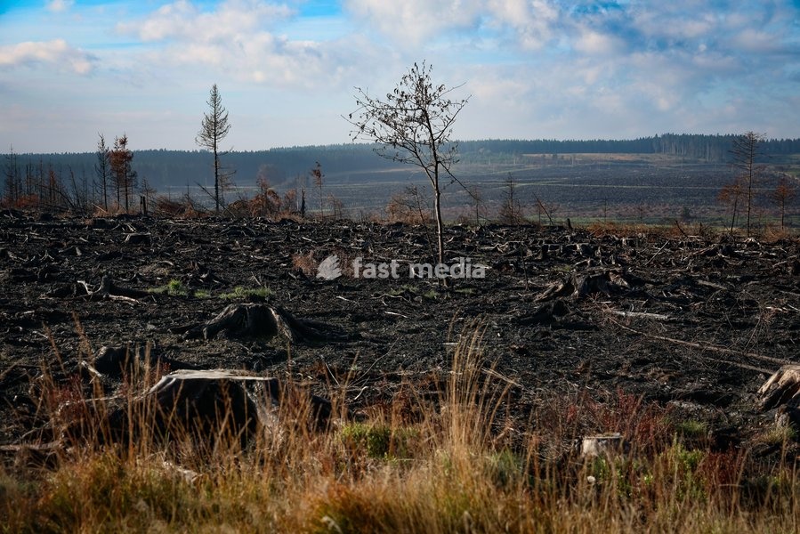This image shows a field visit organized for the kick-off of the Hautes-Fagnes (High Fens) restoration works, on Friday 16 October 2026 in Spa. The fire started on August 14th and 3366 hectares (on a total of 4500) were impacted, a perimeter of 27 km