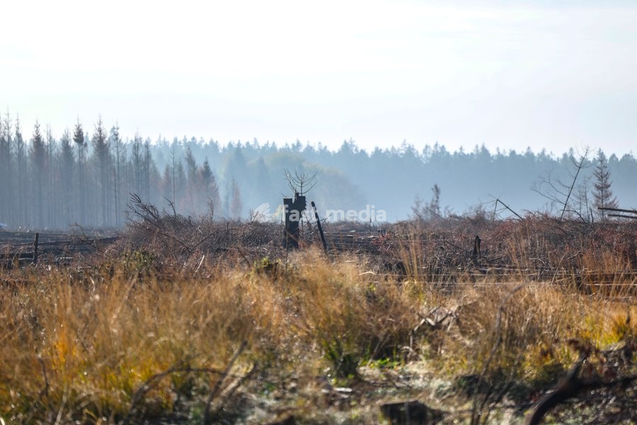 This image shows a field visit organized for the kick-off of the Hautes-Fagnes (High Fens) restoration works, on Friday 16 October 2026 in Spa. The fire started on August 14th and 3366 hectares (on a total of 4500) were impacted, a perimeter of 27 km