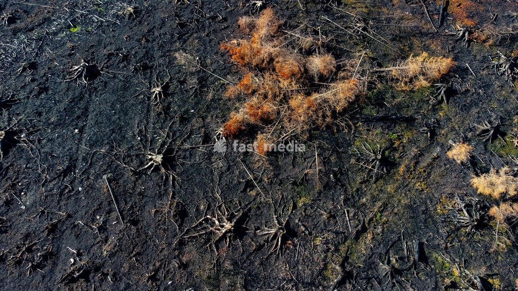 This image shows a field visit organized for the kick-off of the Hautes-Fagnes (High Fens) restoration works, on Friday 16 October 2026 in Spa. The fire started on August 14th and 3366 hectares (on a total of 4500) were impacted, a perimeter of 27 km
