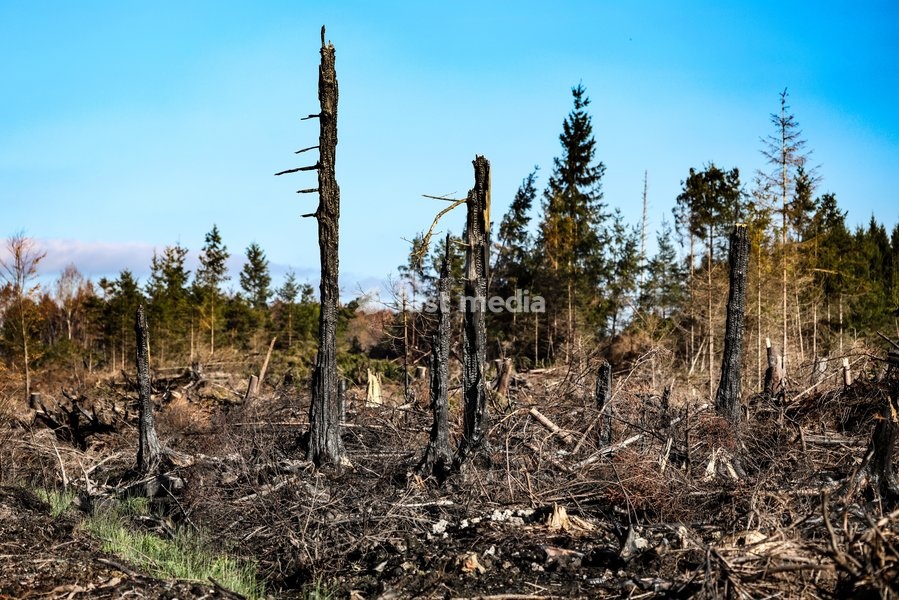 This image shows a field visit organized for the kick-off of the Hautes-Fagnes (High Fens) restoration works, on Friday 16 October 2026 in Spa. The fire started on August 14th and 3366 hectares (on a total of 4500) were impacted, a perimeter of 27 km