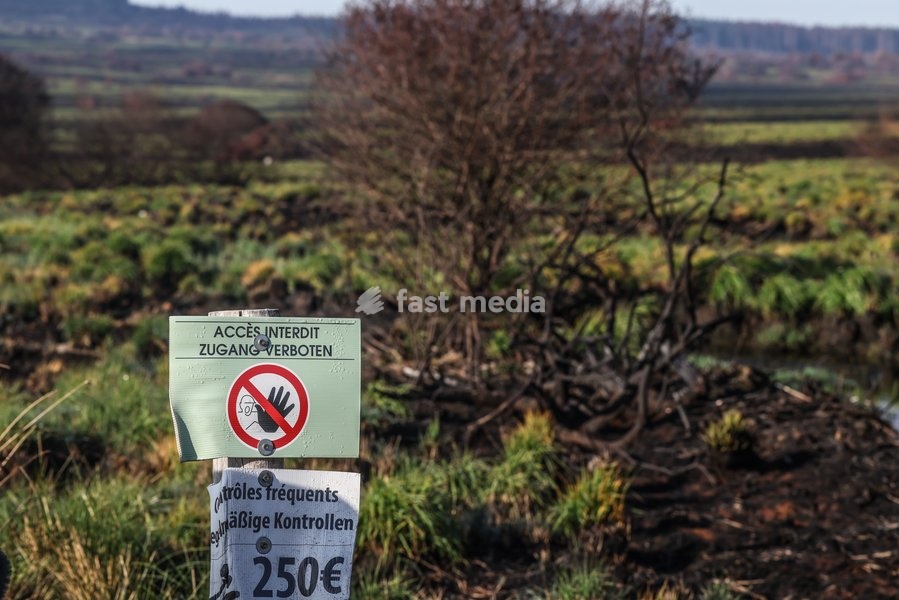 This image shows a field visit organized for the kick-off of the Hautes-Fagnes (High Fens) restoration works, on Friday 16 October 2026 in Spa. The fire started on August 14th and 3366 hectares (on a total of 4500) were impacted, a perimeter of 27 km