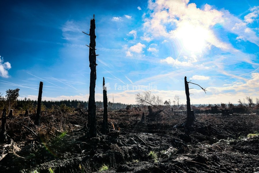 This image shows a field visit organized for the kick-off of the Hautes-Fagnes (High Fens) restoration works, on Friday 16 October 2026 in Spa. The fire started on August 14th and 3366 hectares (on a total of 4500) were impacted, a perimeter of 27 km