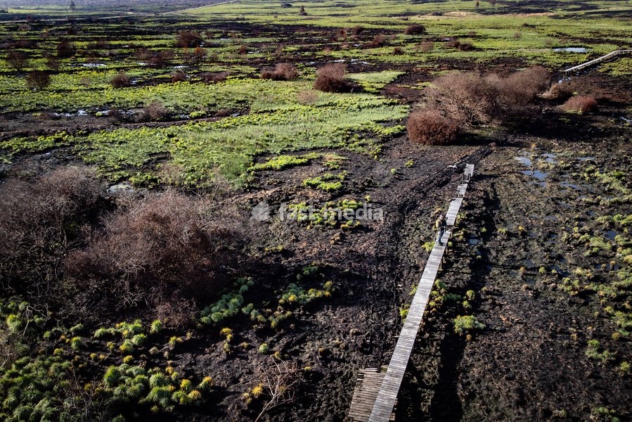 This image shows a field visit organized for the kick-off of the Hautes-Fagnes (High Fens) restoration works, on Friday 16 October 2026 in Spa. The fire started on August 14th and 3366 hectares (on a total of 4500) were impacted, a perimeter of 27 km